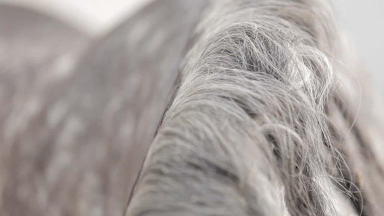 Thevideotap – Société de production vidéo Thevideotap – Société de production vidéo